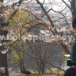 Guiding Hosts’ on Outdoor Streams as BoloUp Live Agents